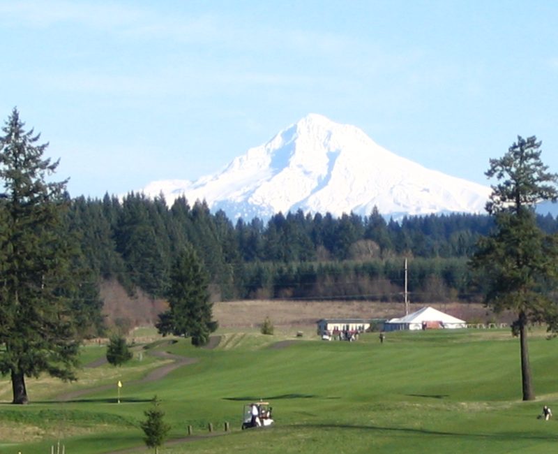 Mt Hood on a sunny day
