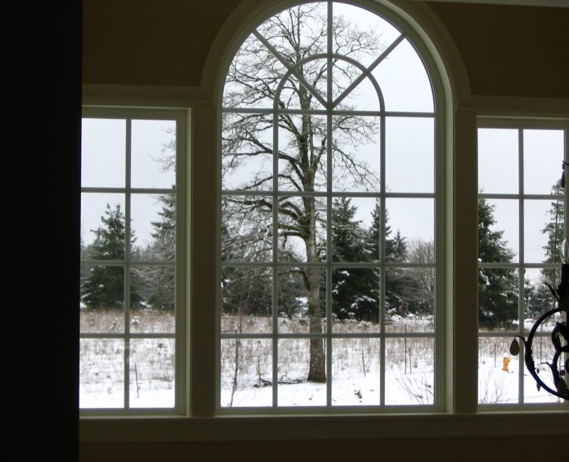 A winter view from Sally's sewing room.