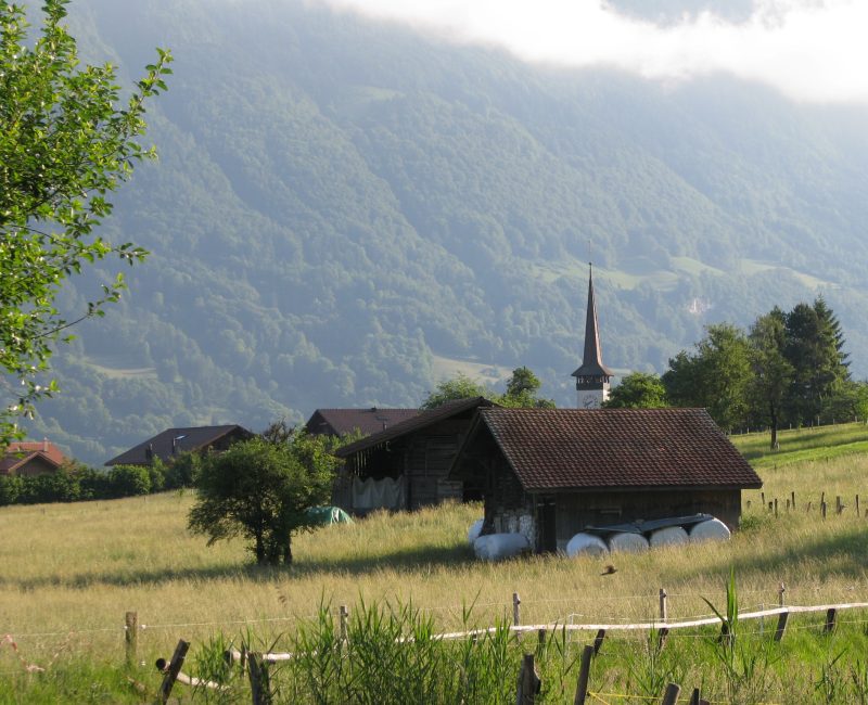 Another view along our walks in Boenigen