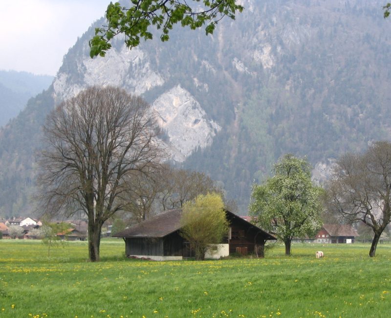 A typical Swiss barn