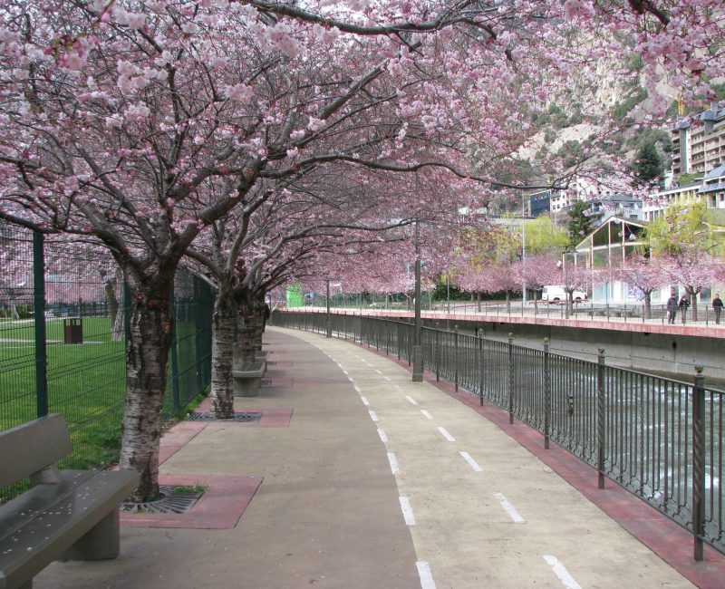 Andorra La Vella--We really enjoyed our stay here