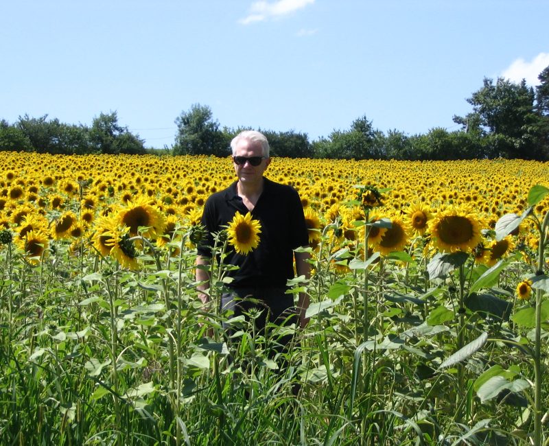 Gregg in the sunflowers
