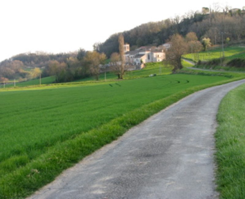 Heading toward a hamlet