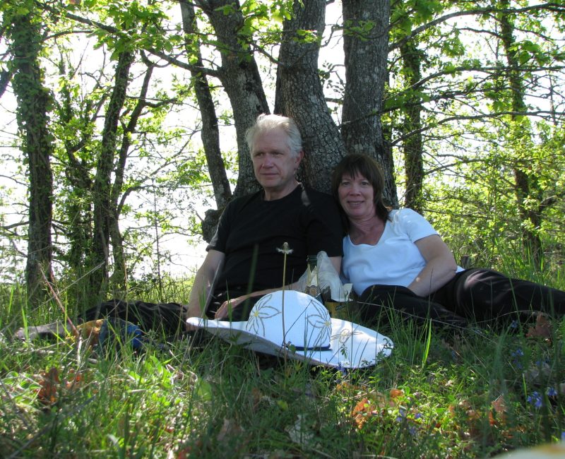 A picnic in a farm field