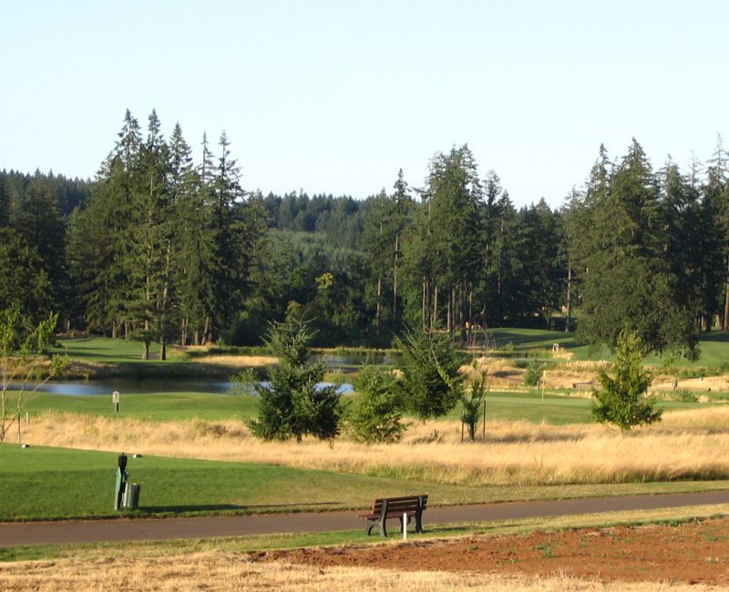 A view from the back deck
