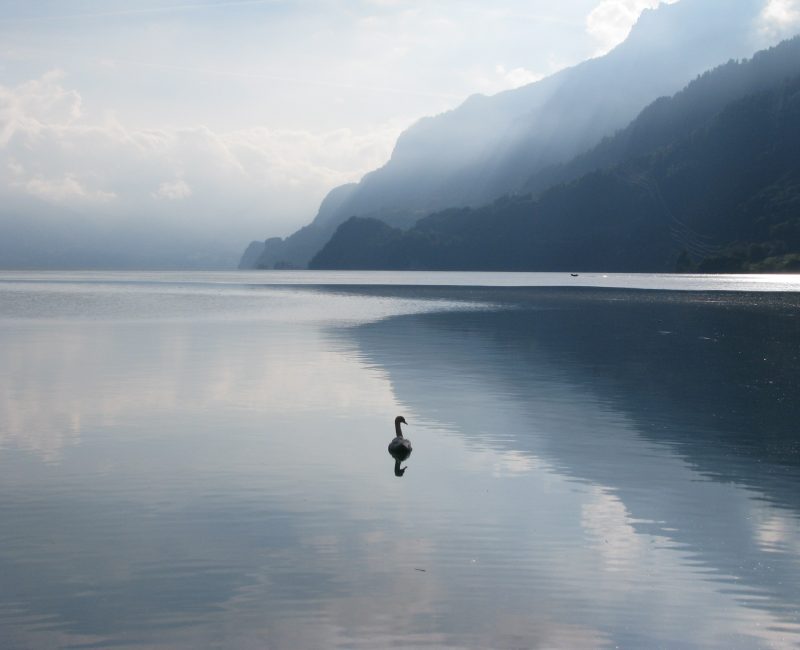 An example of Sally's photography skills