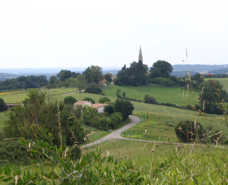 A steeple in the distance