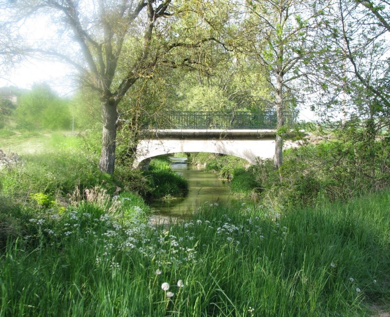 A good spot for a future picnic